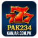 PAK234 Game